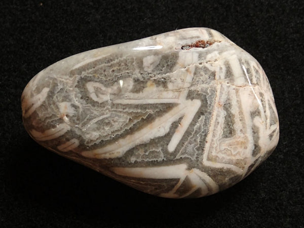 Tumble Polished Wyloo Agate WAT101