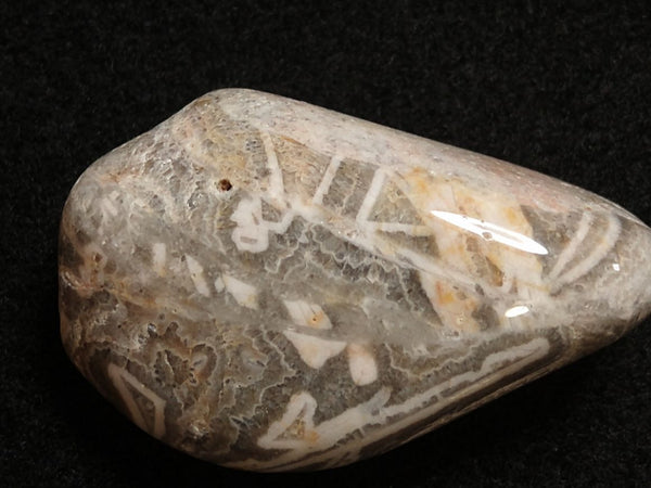 Tumble Polished Wyloo Agate WAT101