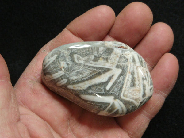 Tumble Polished Wyloo Agate WAT101