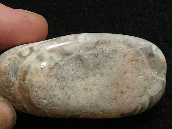 Tumble Polished Wyloo Agate WAT101