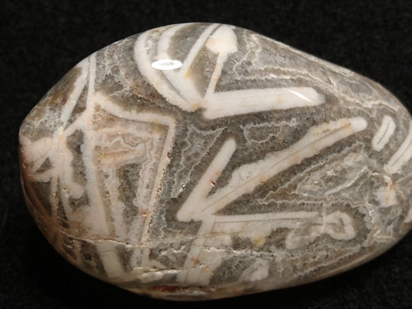 Tumble Polished Wyloo Agate WAT101
