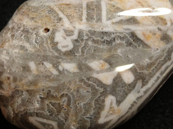 Tumble Polished Wyloo Agate WAT101