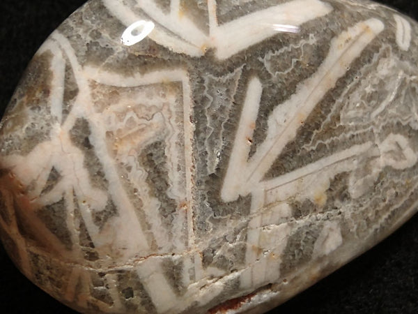 Tumble Polished Wyloo Agate WAT101