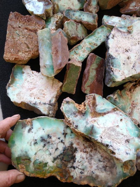 Bulk lot of Polished Chrysoprase CH368    Bargain clearance !
