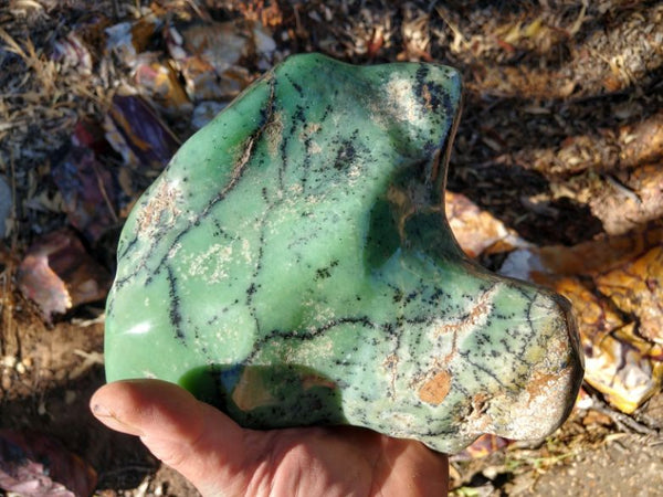 Contour Polished Chrysoprase CHC102