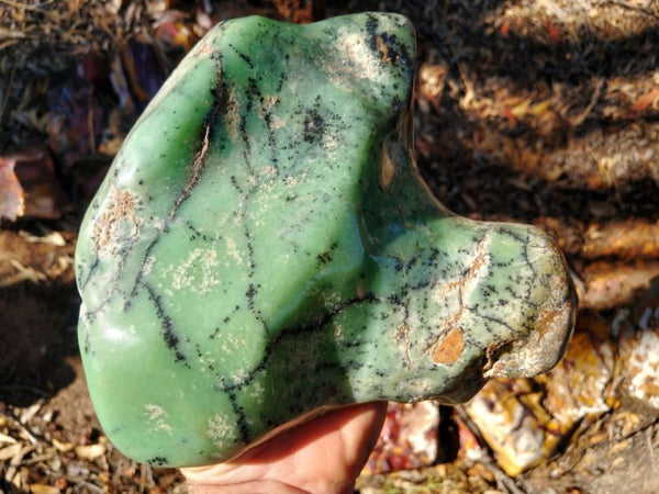 Contour Polished Chrysoprase CHC102
