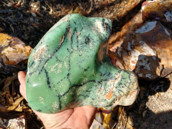 Contour Polished Chrysoprase CHC102