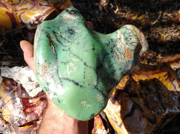 Contour Polished Chrysoprase CHC102
