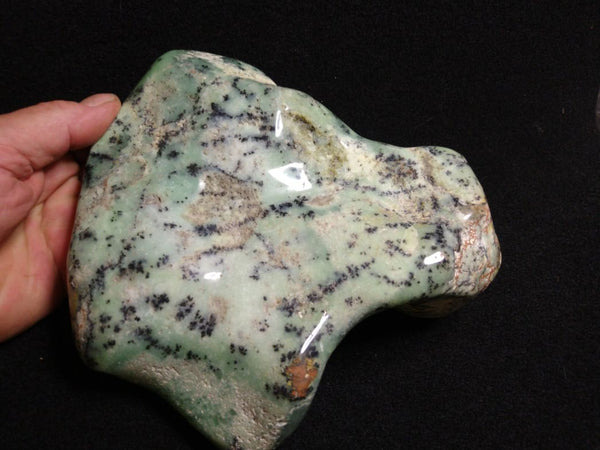 Contour Polished Chrysoprase CHC102