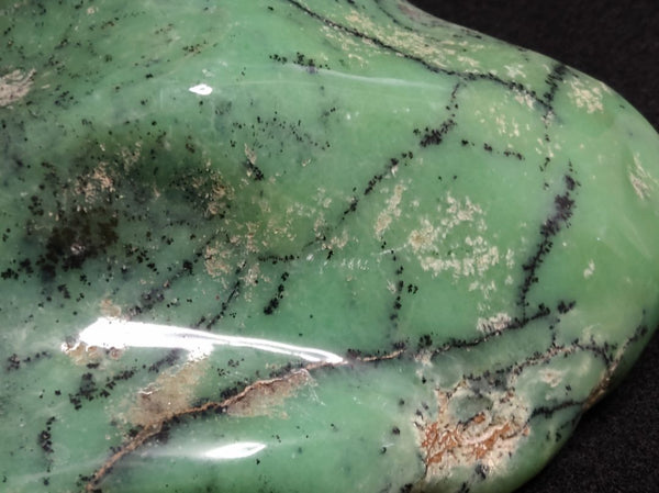 Contour Polished Chrysoprase CHC102