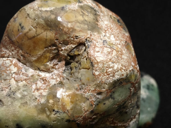 Contour Polished Chrysoprase CHC102