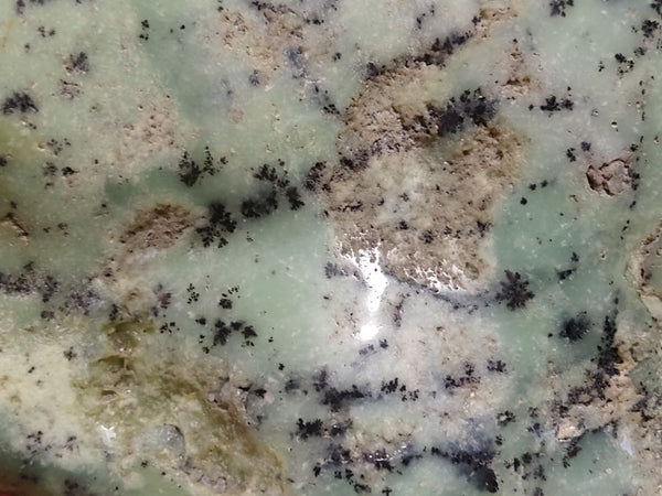 Contour Polished Chrysoprase CHC102