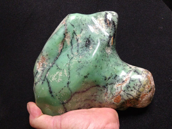 Contour Polished Chrysoprase CHC102