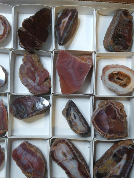 Box of Polished Pilbara Agates PA260