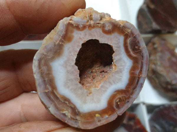 Box of Polished Pilbara Agates PA260