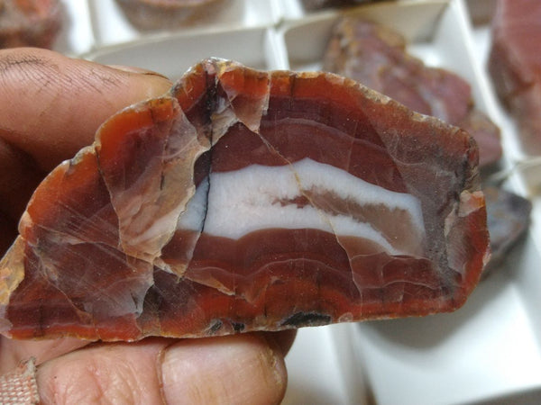 Box of Polished Pilbara Agates PA260