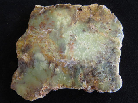 Polished Dendritic Opal DO151