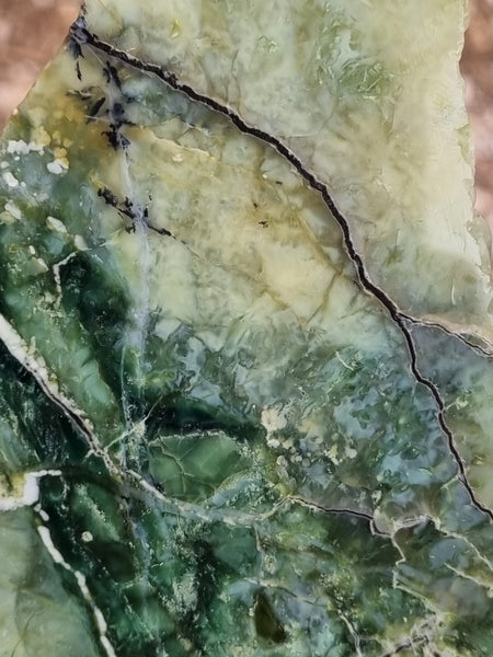 Polished Green Opal display specimen GRN94