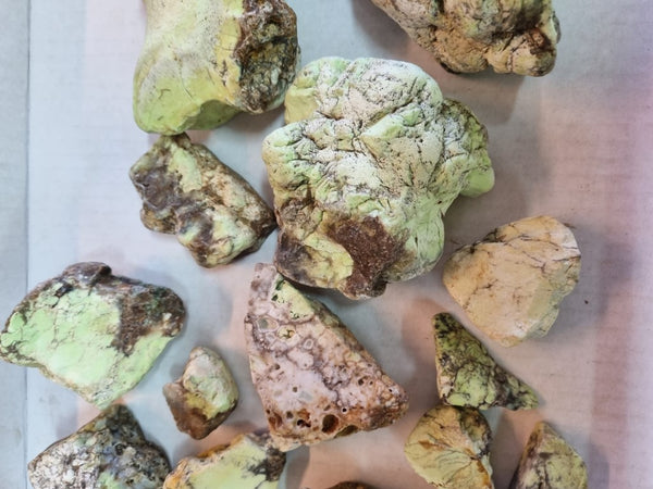 Lime magnesite rough. LMR 105 – GemstoneGeeks.