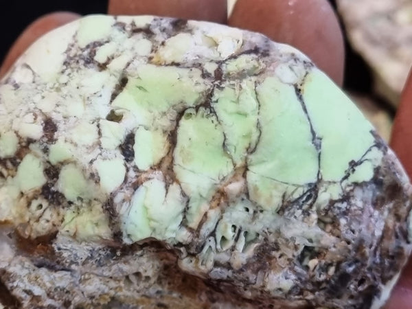 Lime magnesite rough.  LMR 105