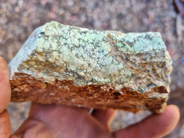 Variscite rough. VR538