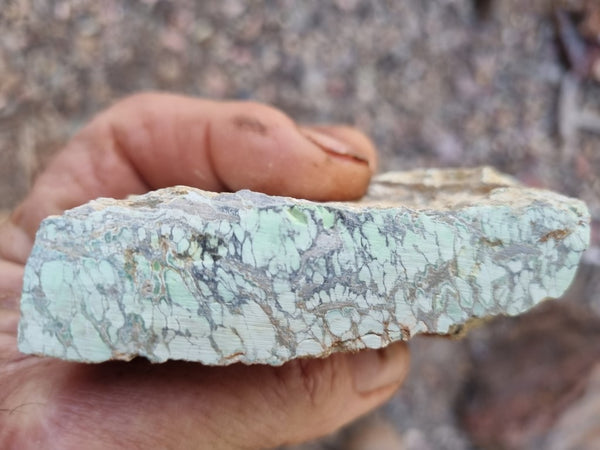 Variscite rough. VR538