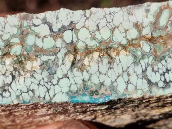 Variscite rough. VR538