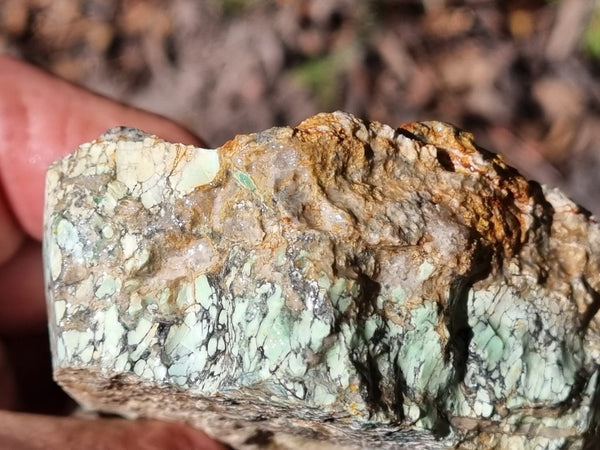 Variscite rough. VR538