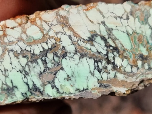 Variscite rough. VR538