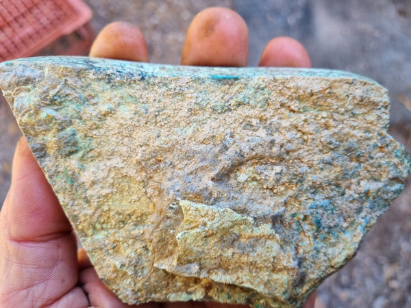 Variscite rough. VR538