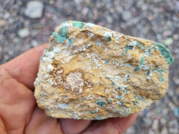 Variscite rough. VR539