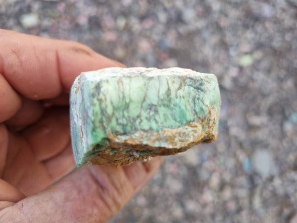 Variscite rough. VR539