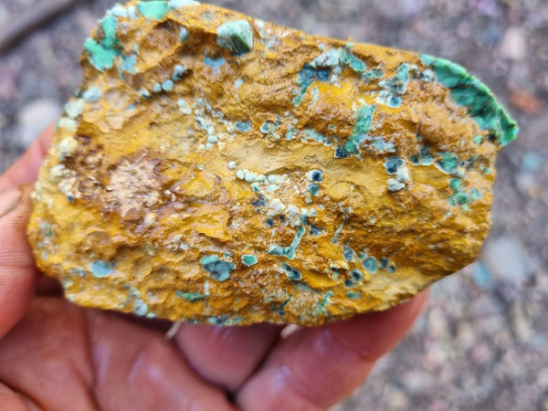 Variscite rough. VR539