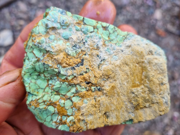 Variscite rough. VR539