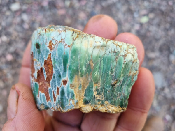 Variscite rough. VR540