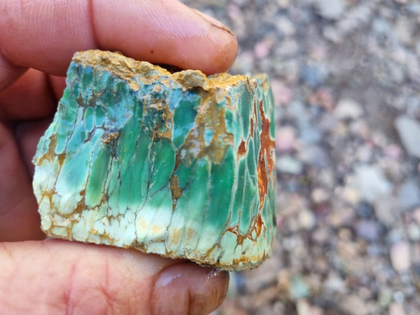 Variscite rough. VR540