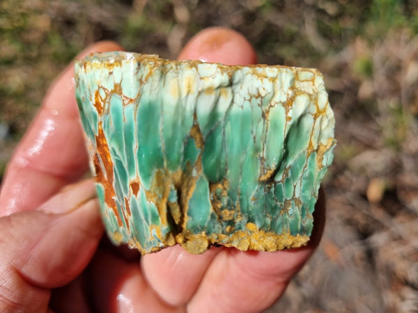 Variscite rough. VR540