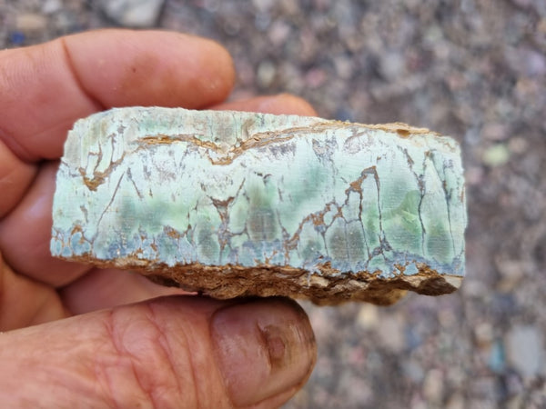 Variscite rough. VR541