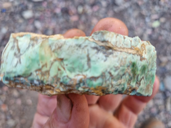 Variscite rough. VR541