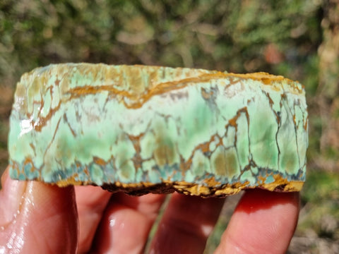 Variscite rough. VR541