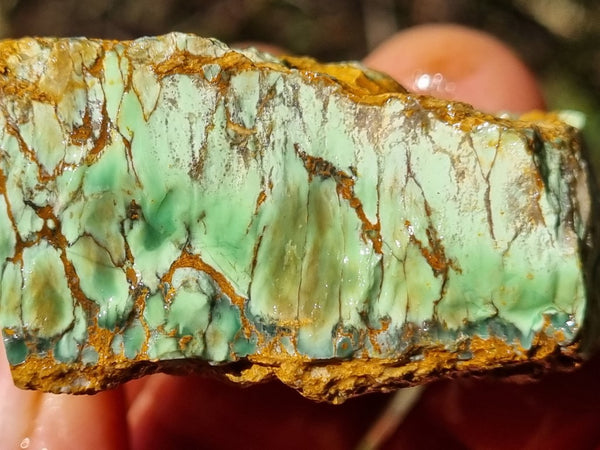 Variscite rough. VR541