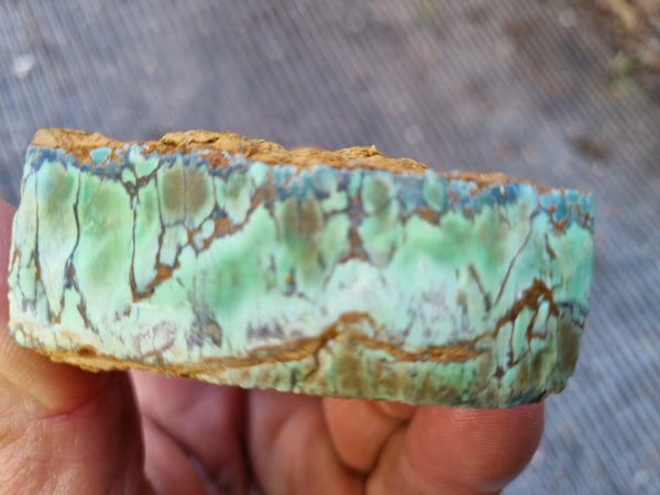 Variscite rough. VR541