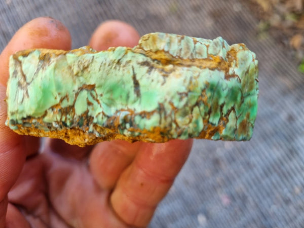 Variscite rough. VR541