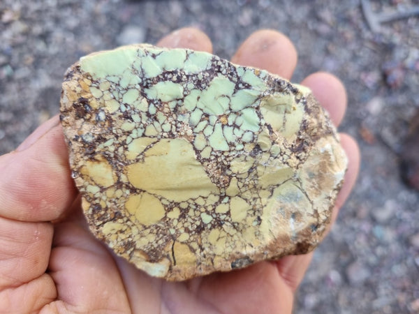 Lime magnesite rough. LMR 106 – GemstoneGeeks.