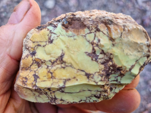 Lime magnesite rough. LMR 106 – GemstoneGeeks.