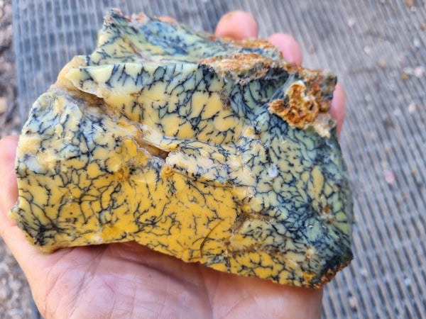 Dendritic Opal  rough.  DOR227