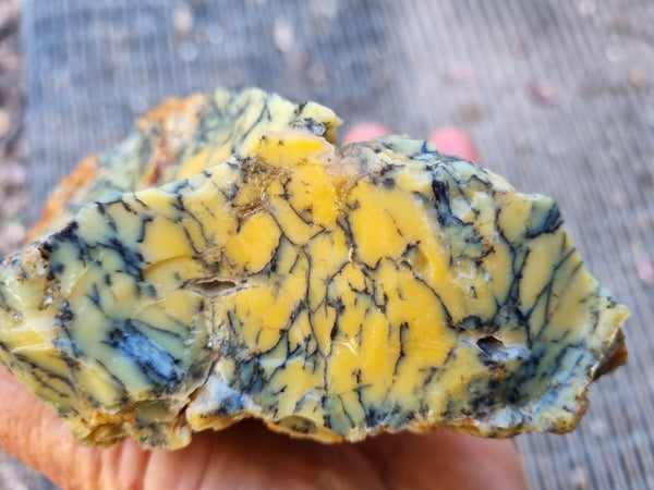 Dendritic Opal  rough.  DOR227