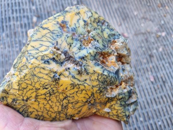 Dendritic Opal  rough.  DOR227