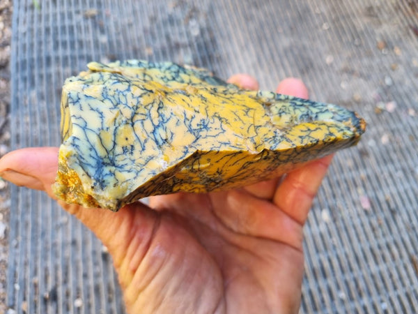 Dendritic Opal  rough.  DOR227