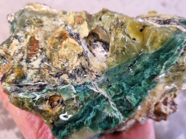 Green Opal  rough.  GOR 119